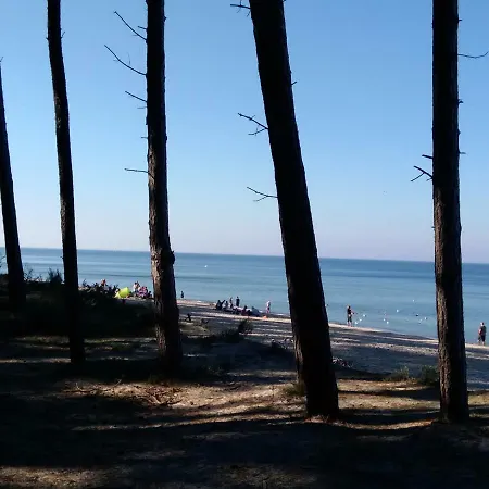 401 Typu * מיילנו