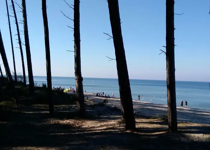 401 Typu * מיילנו